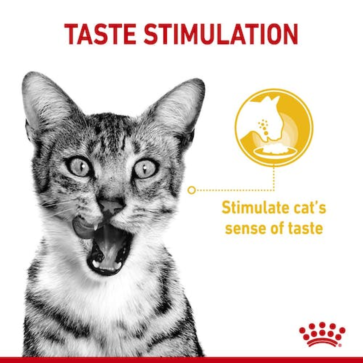 ROYAL CANIN Sensory Taste Wet Food Gravy (12 Pouches)