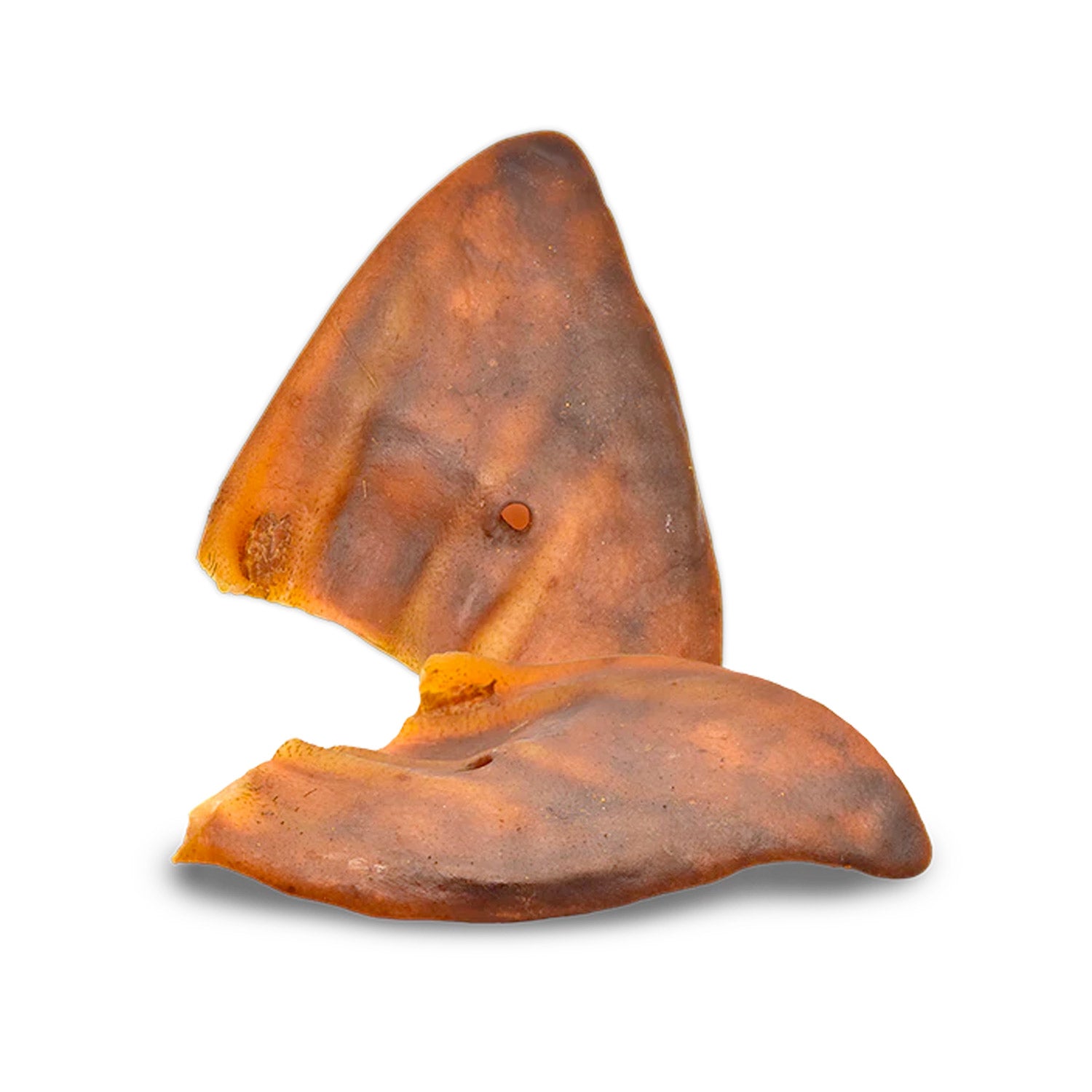 ALPHA SPIRIT Pork Ear Large