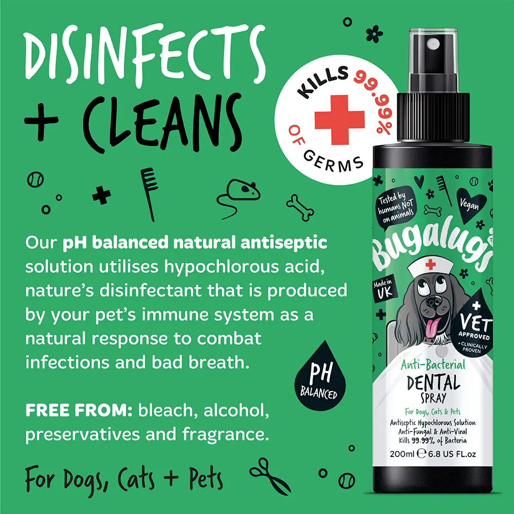 BUGALUGS Antibacterial Dental Spray (200ml)