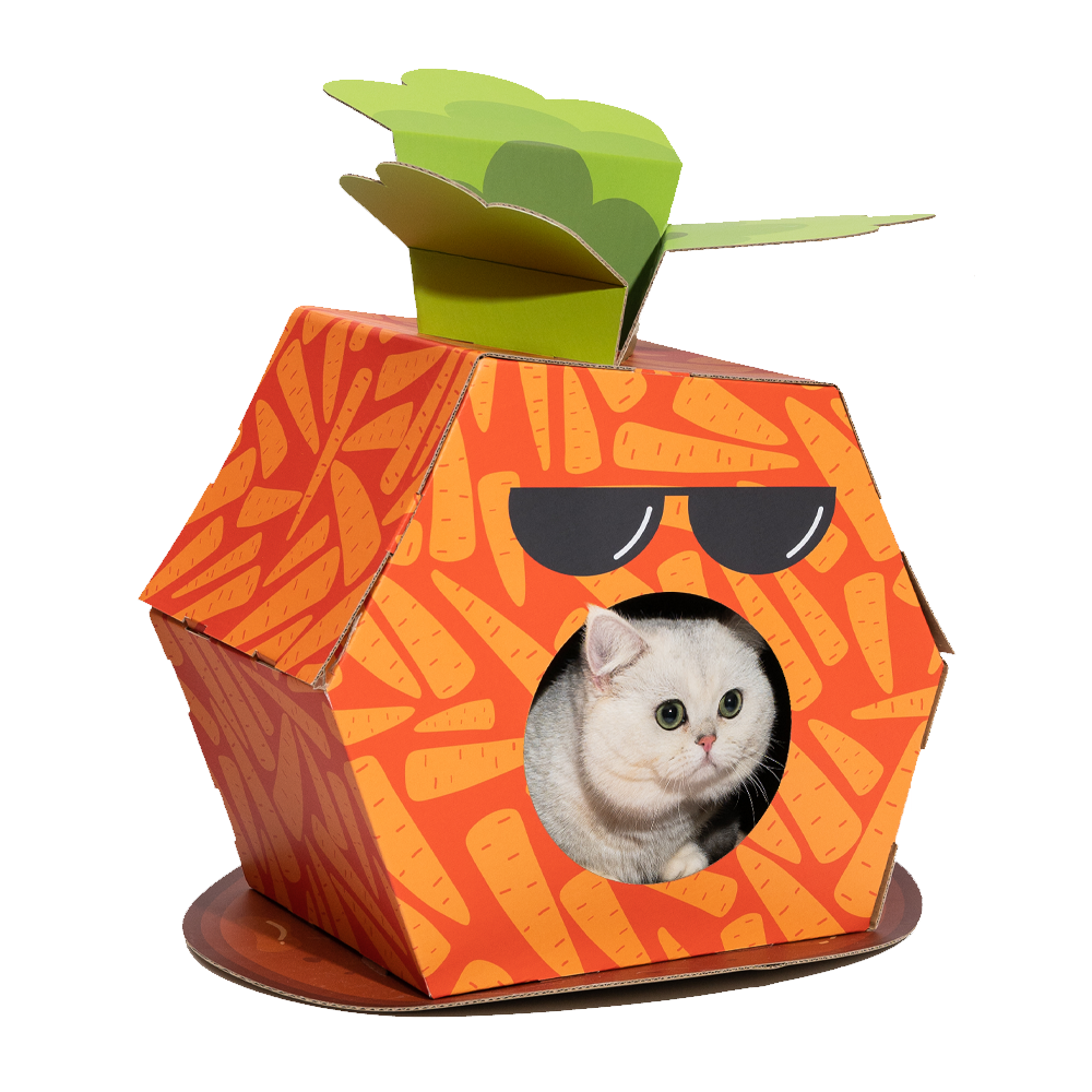 FOFOS Cardboard Cat House With Scratching Pad (Various Designs)