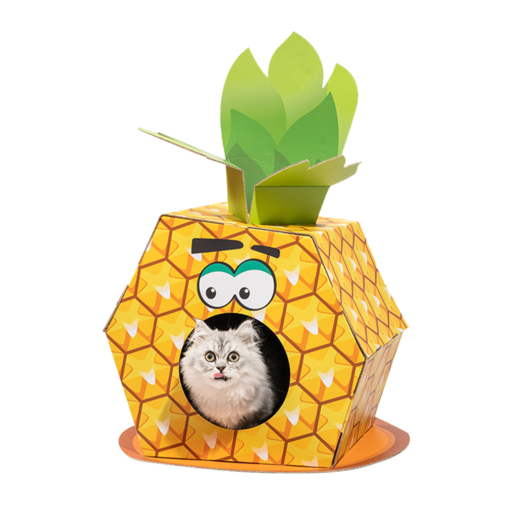 FOFOS Cardboard Cat House With Scratching Pad (Various Designs)