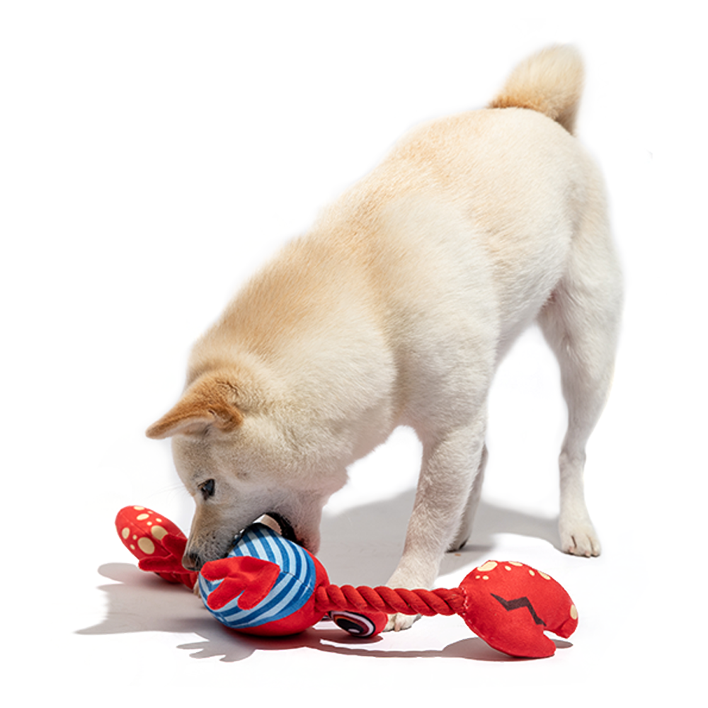FOFOS Sealife Crab Dog Toy