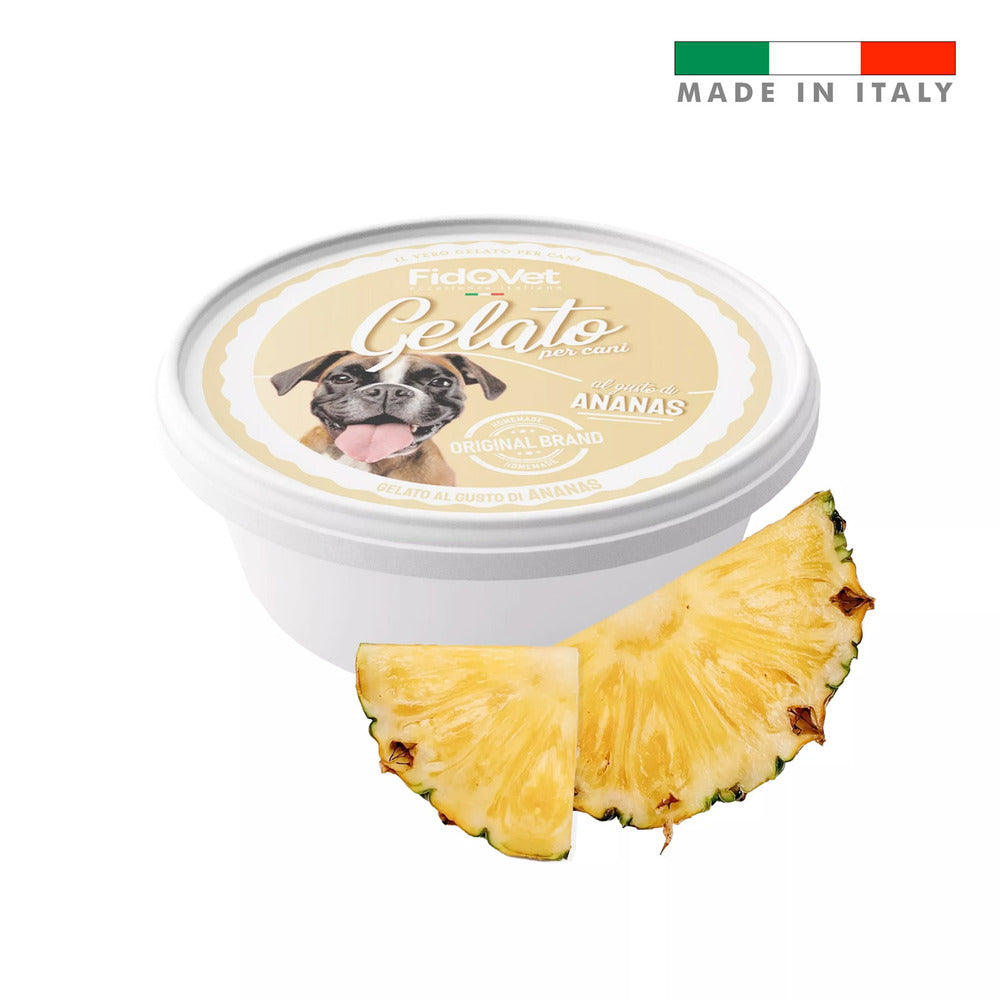 FIDOVET Gelato Ice Cream For Dogs ( Various Flavours)