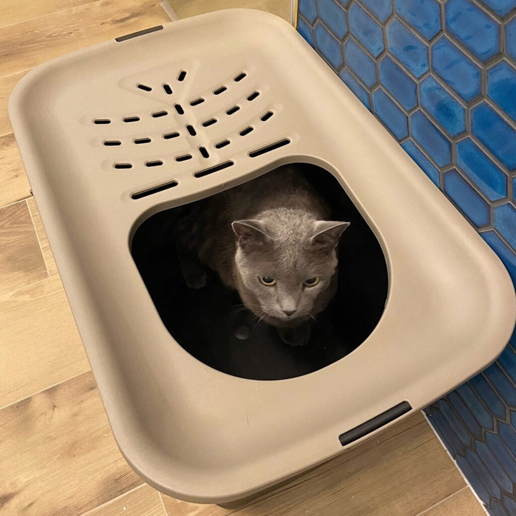 MP BERGAMO Top Entry Litter Box