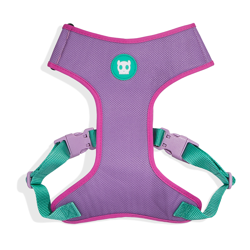 ZEE.DOG Aura Air Mesh Plus Harness