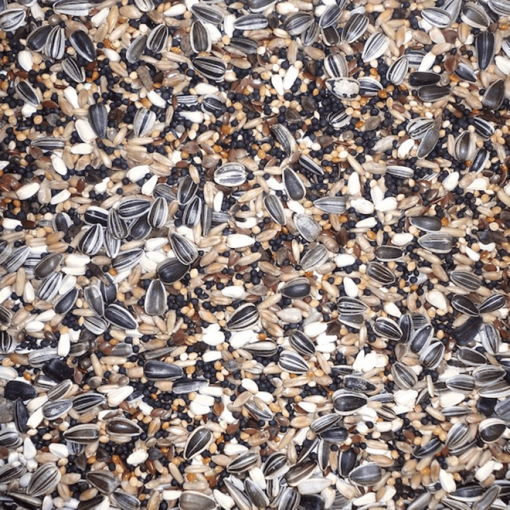 FARMA Finch Bird Special Mix (20 kgs)