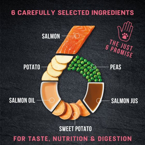 HARRINGTONS Just 6 Adult Dog Dry Food Salmon