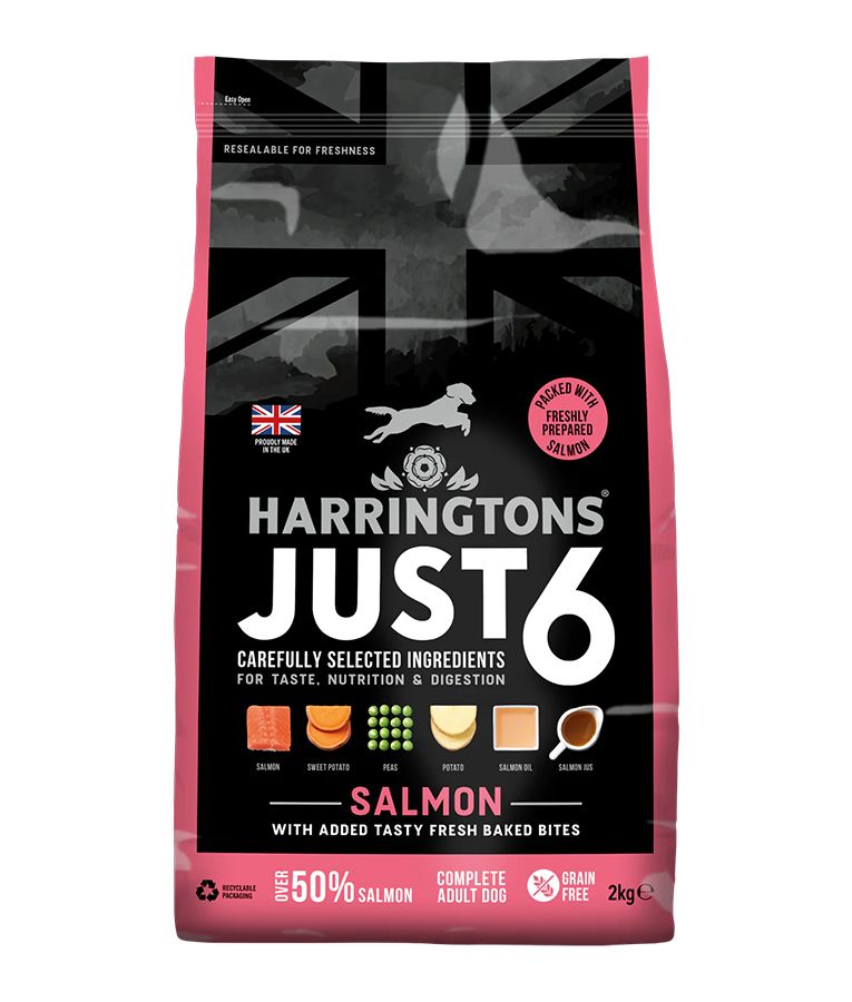 HARRINGTONS Just 6 Adult Dog Dry Food Salmon