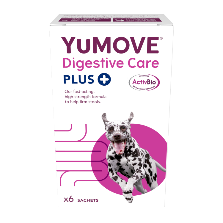 YUMOVE Digestive Care Plus For Dog ( 6 sachets)