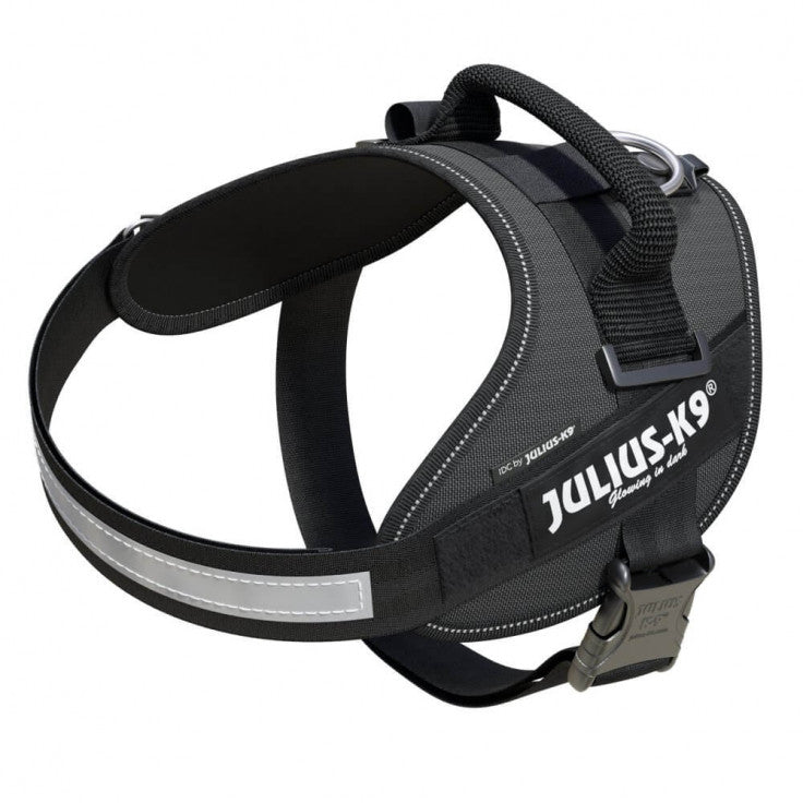 JULIUS-K9 Powerharness (Grey)