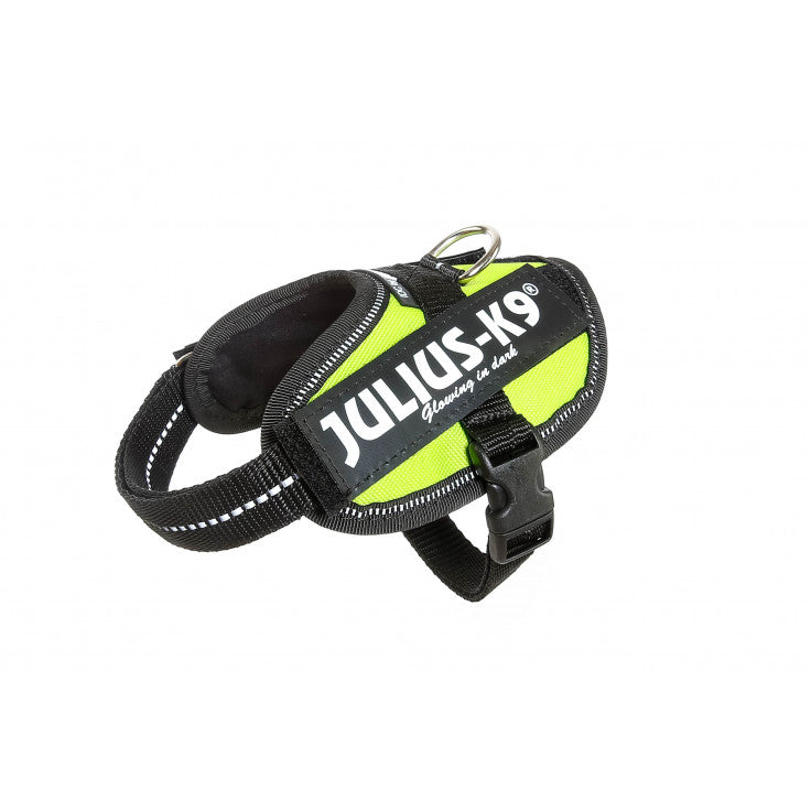 JULIUS-K9 Powerharness (Neon Green)