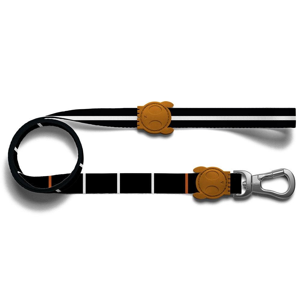 ZEE.DOG Patagonia Leash