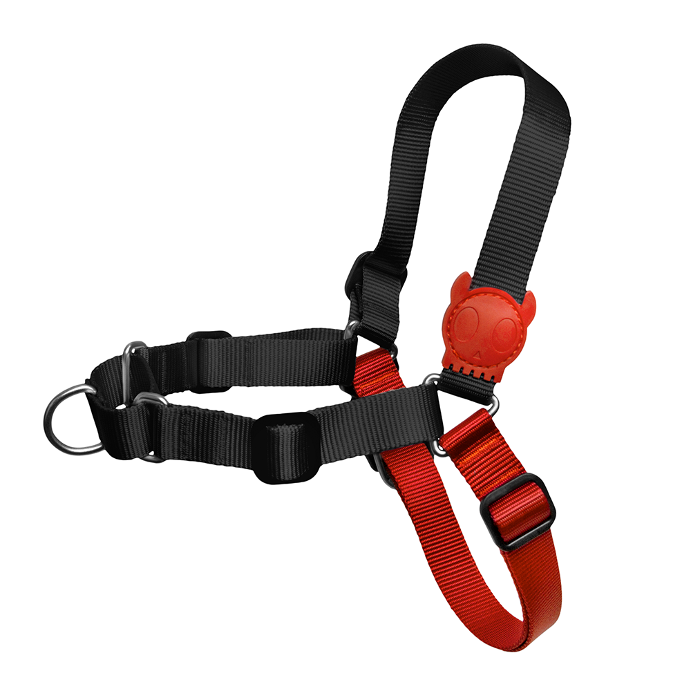 ZEE.DOG Fatboy Soft-Walk Harness
