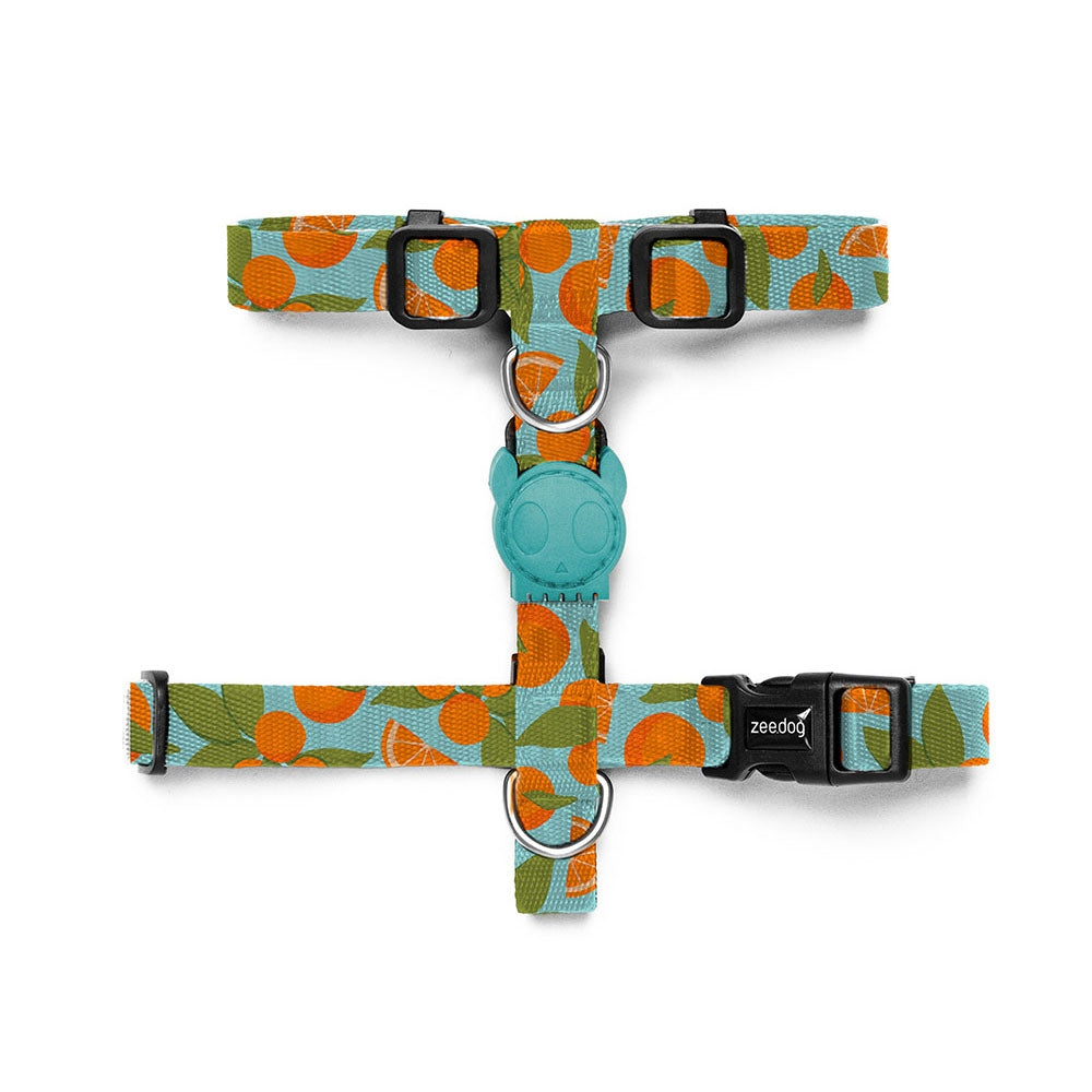 ZEE.DOG Florida H-Harness