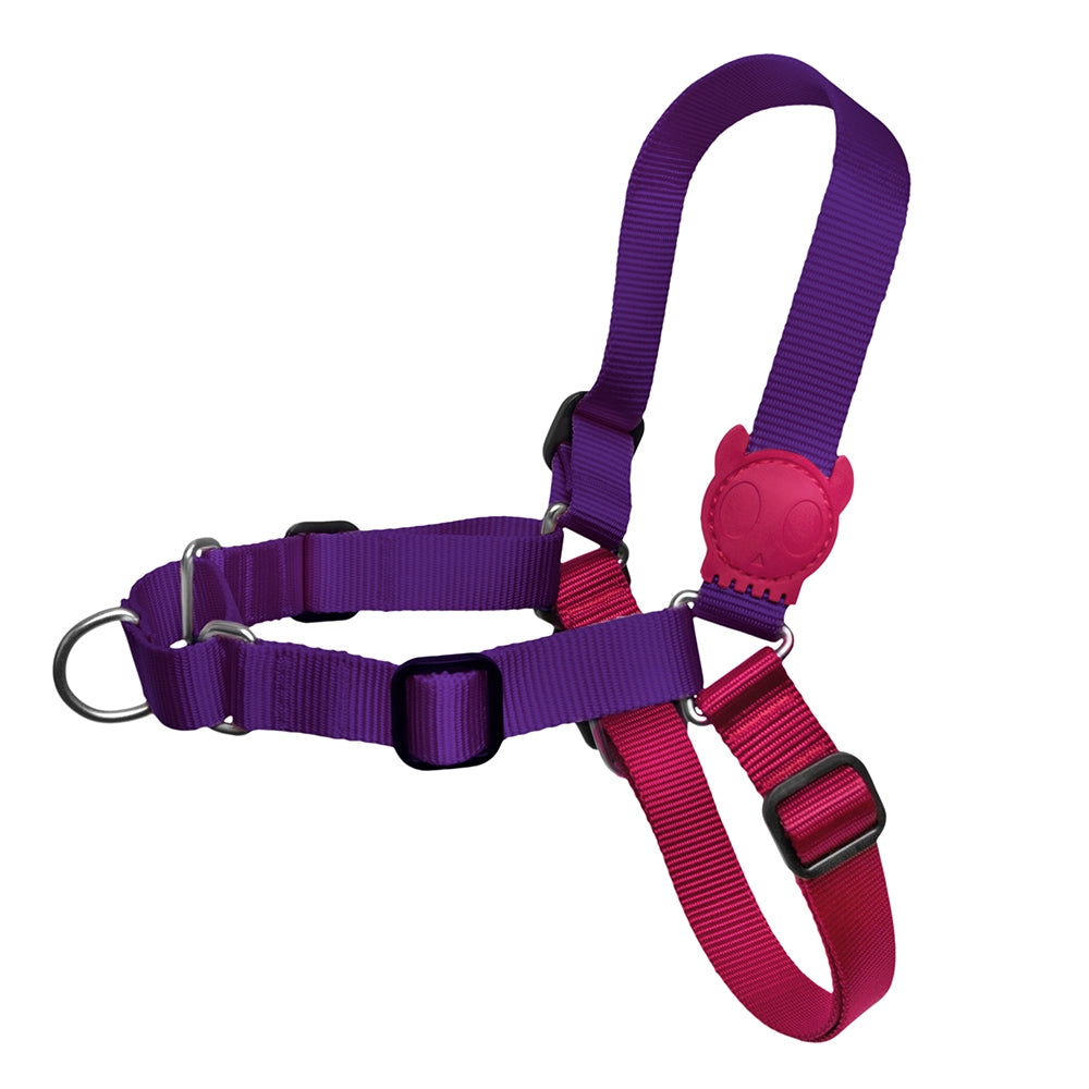 ZEE.DOG Vega Soft-Walk Harness