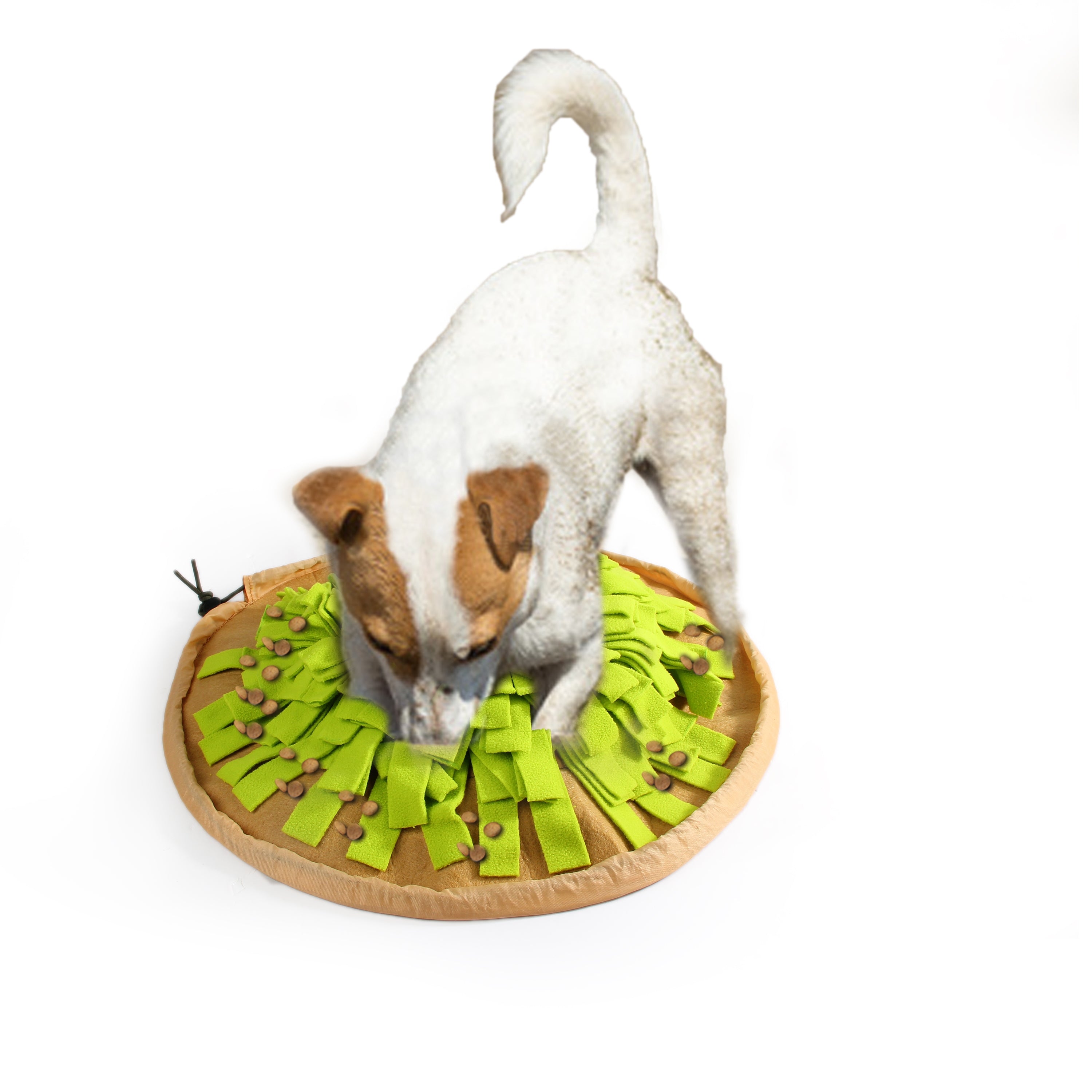ALL FOR PAWS Dig It Foldable Snuffle Mat