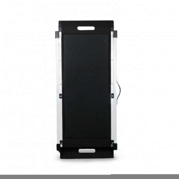 ALL FOR PAWS Deluxe Telescoping Dog Ramp