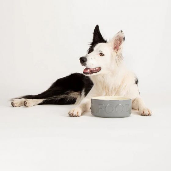 SCRUFFS Classic Food Bowl