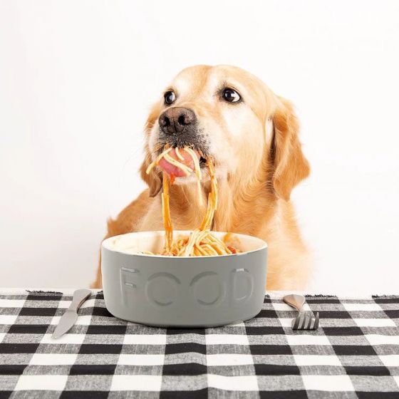SCRUFFS Classic Food Bowl