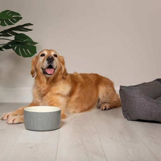 SCRUFFS Classic Dog Water Bowl