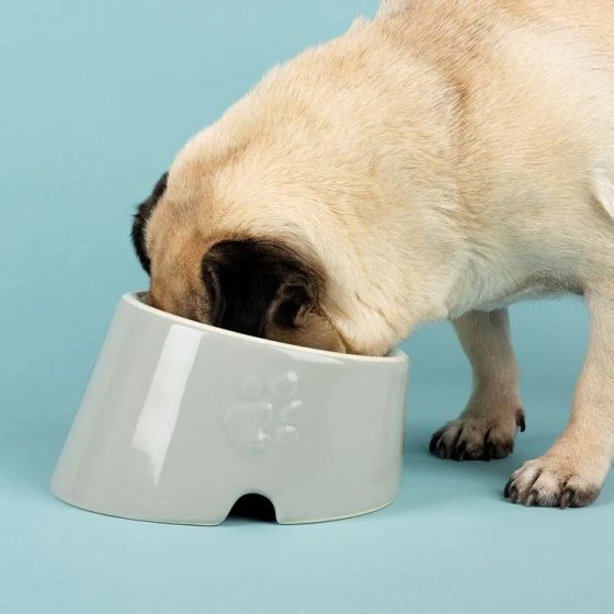 SCRUFFS Icon Flat Faced Dog & Cat Bowl