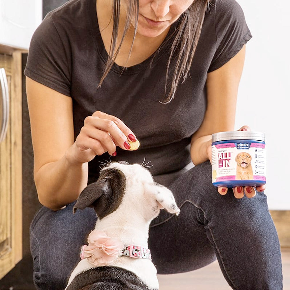 VETERICYN ALL-IN Dog Supplement (Puppy)