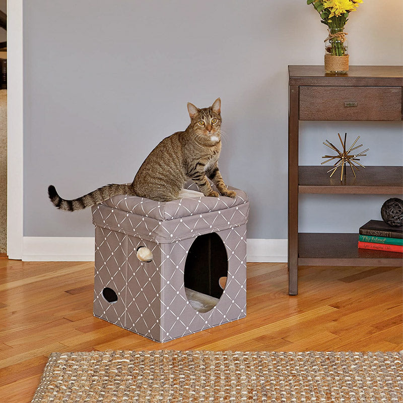 MIDWEST Curious Cat Cube Mushroom