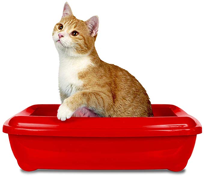 SIMPLE SOLUTION Cat Litter Attractant 255gr