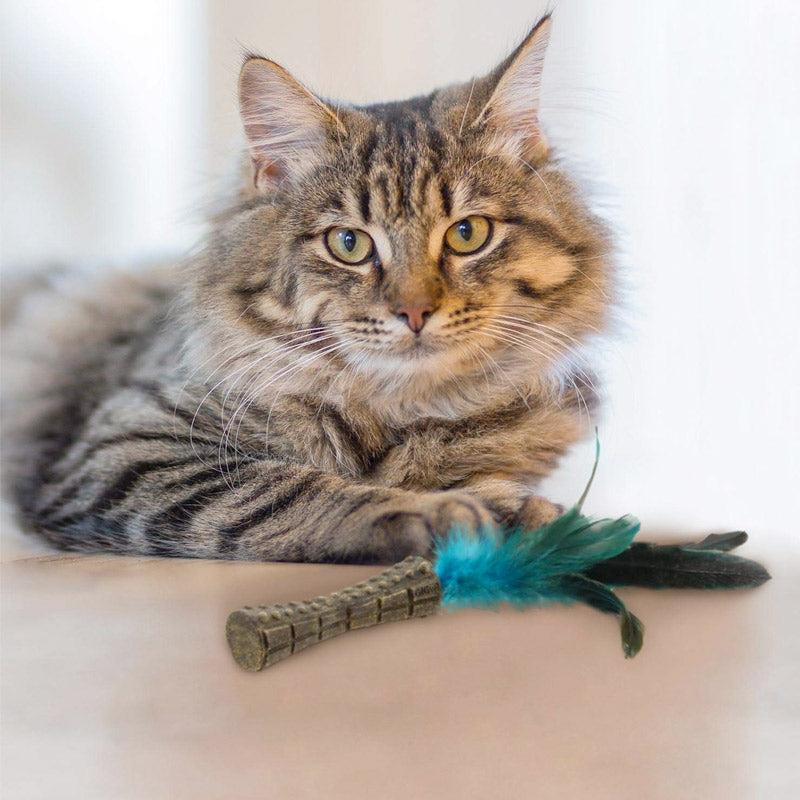 GIGWI Catnip "Johnny Stick" with Natural Feather