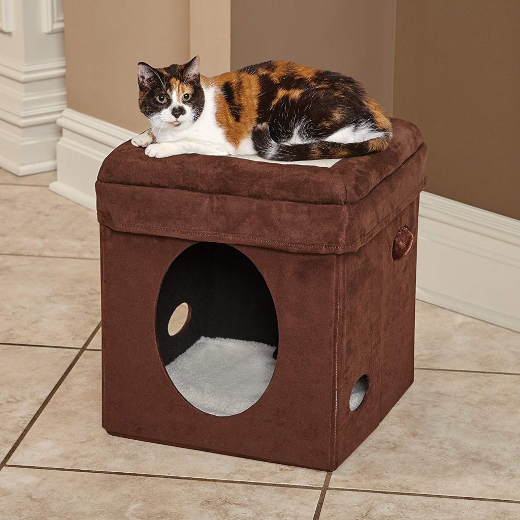 MIDWEST Curious Cat Cube Brown