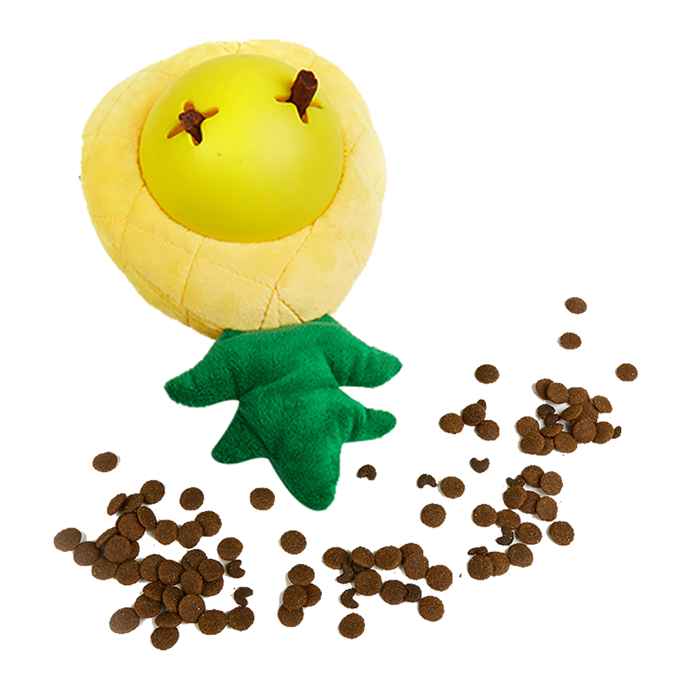 FOFOS Pineapple Treat Hider