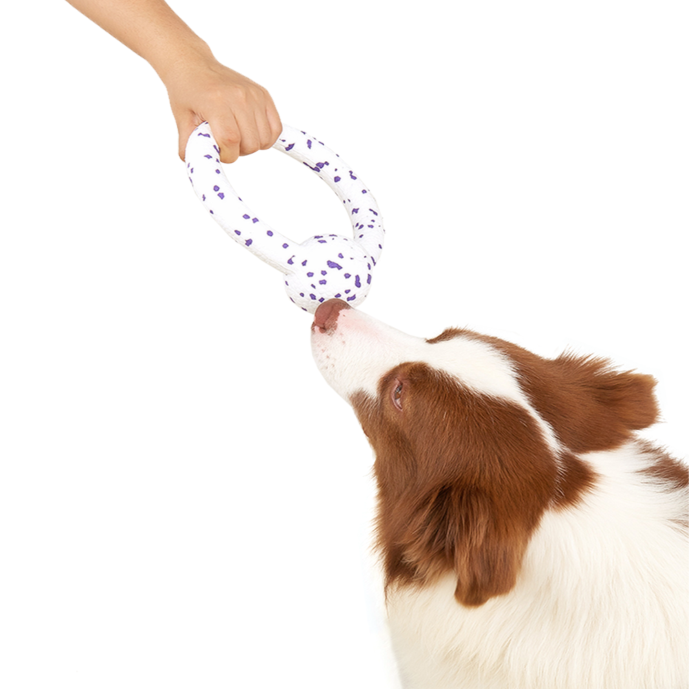 FOFOS Durable Puller Dog Toy