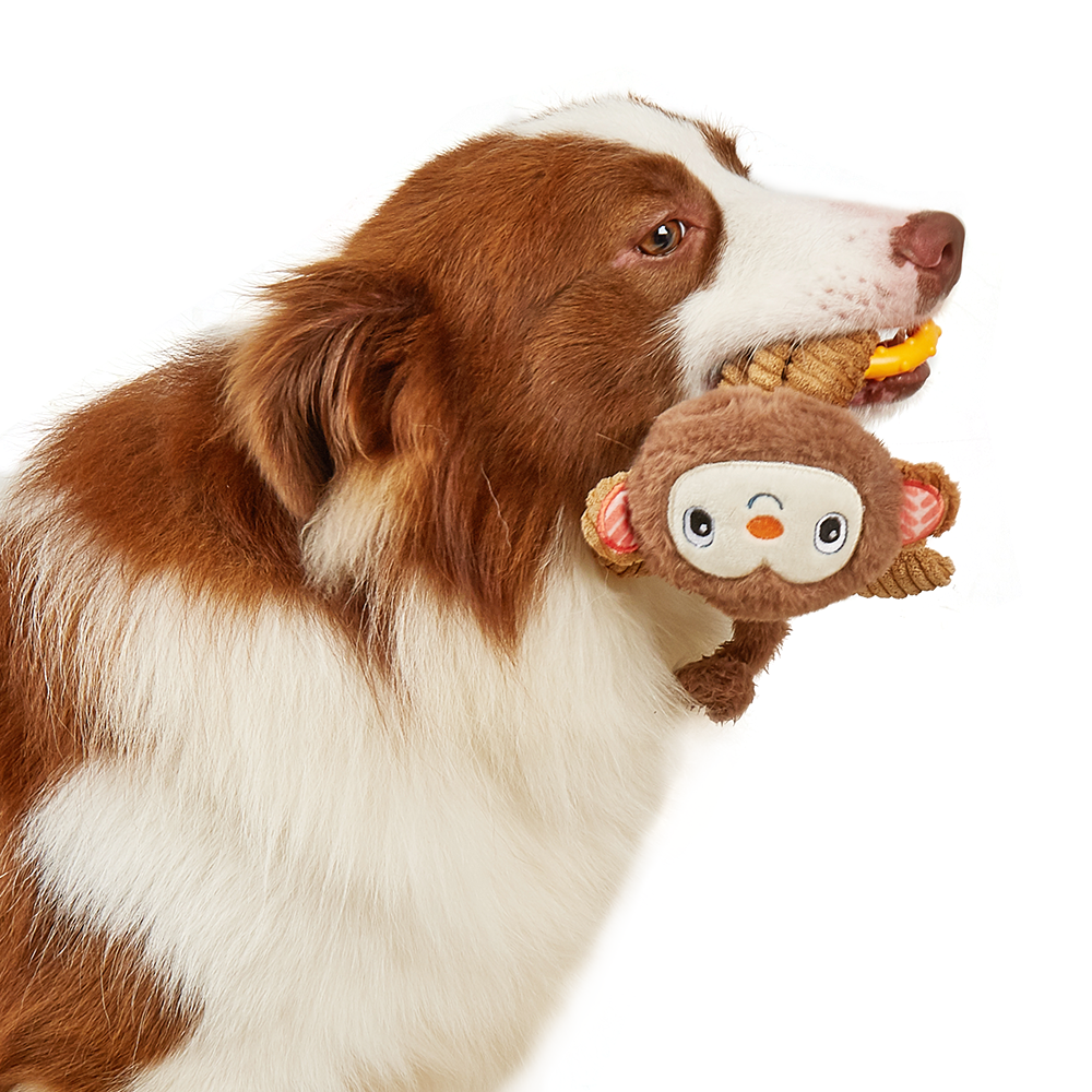 FOFOS Monkey Puppy Toy