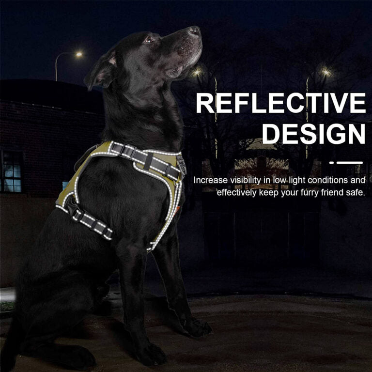 FIDA Dog Harness
