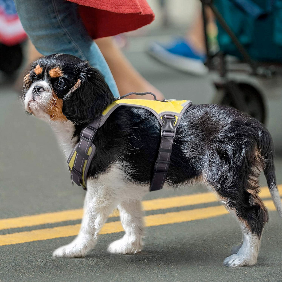 FIDA Dog Harness