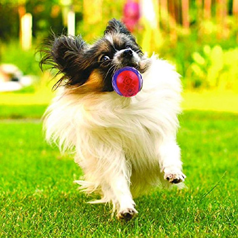 GIGWI Ball Purple/Blue Squeaker Transparent (Medium)