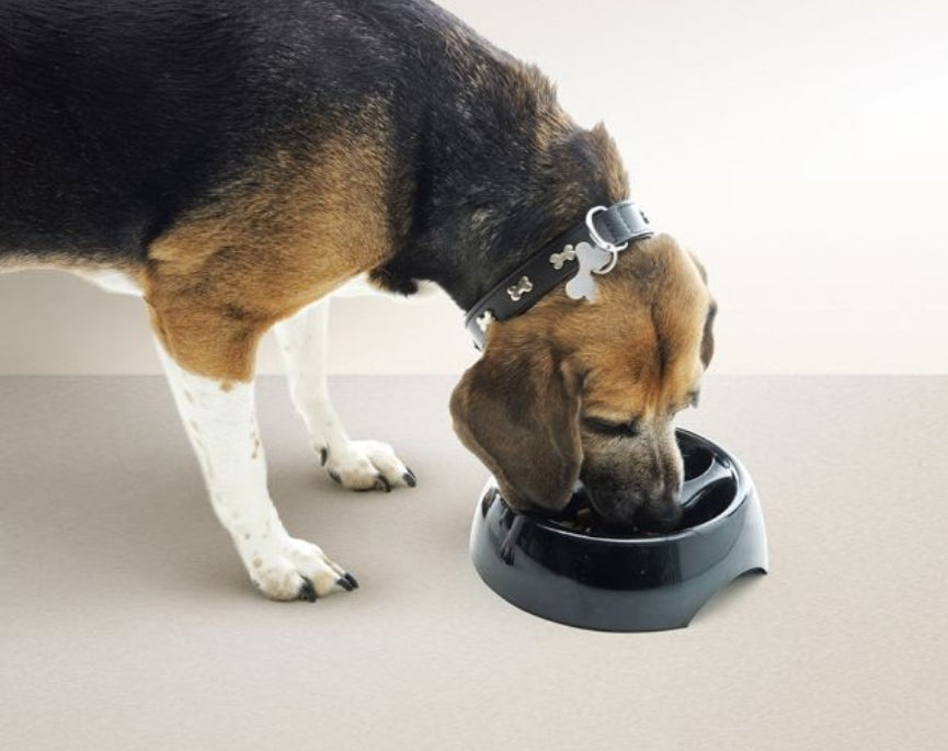 SAVIC Slow Feeding Bowl