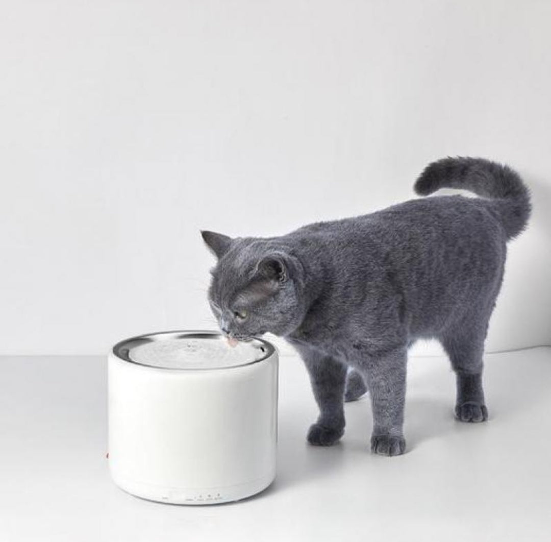 PETKIT 3rd Generation Water Fountain (1.35L Capacity)