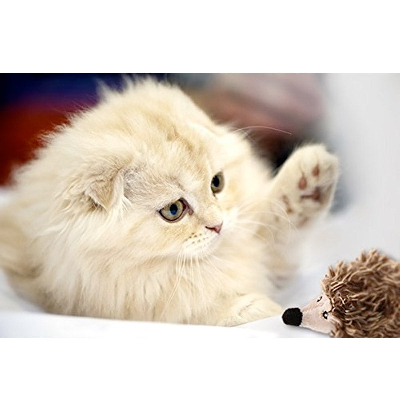 GIGWI "Melody Chaser" Motion Activated Chip (Hedgehog)