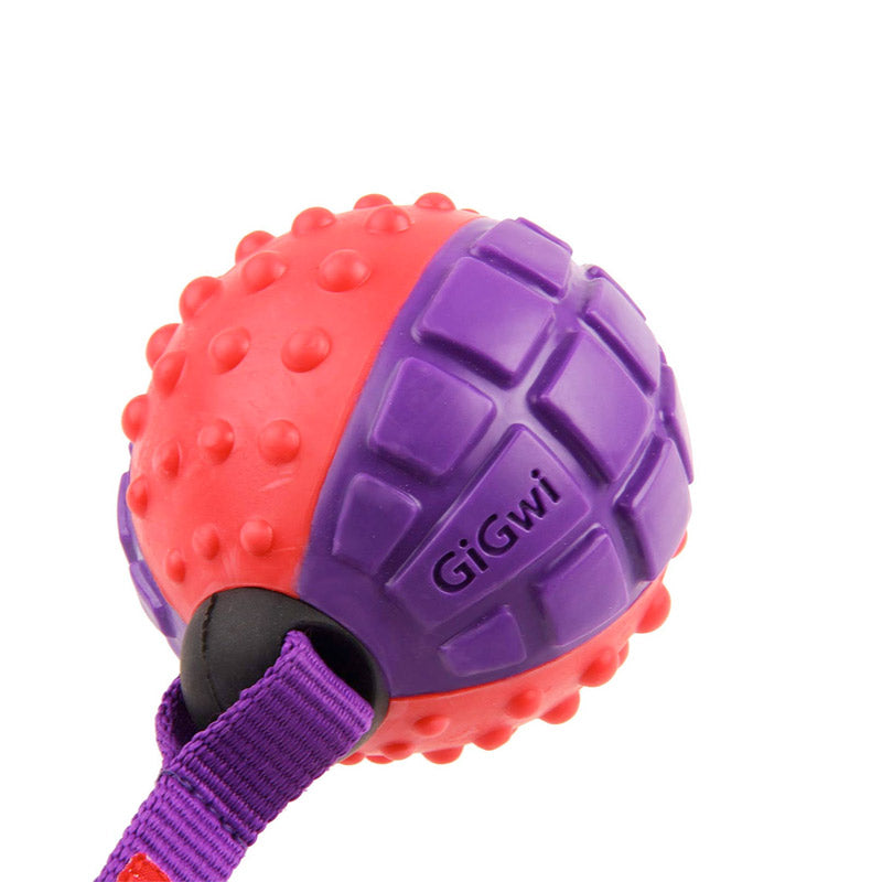 GIGWI 'Push to Mute' Ball (Red/Purple)