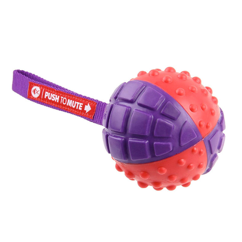 GIGWI 'Push to Mute' Ball (Red/Purple)