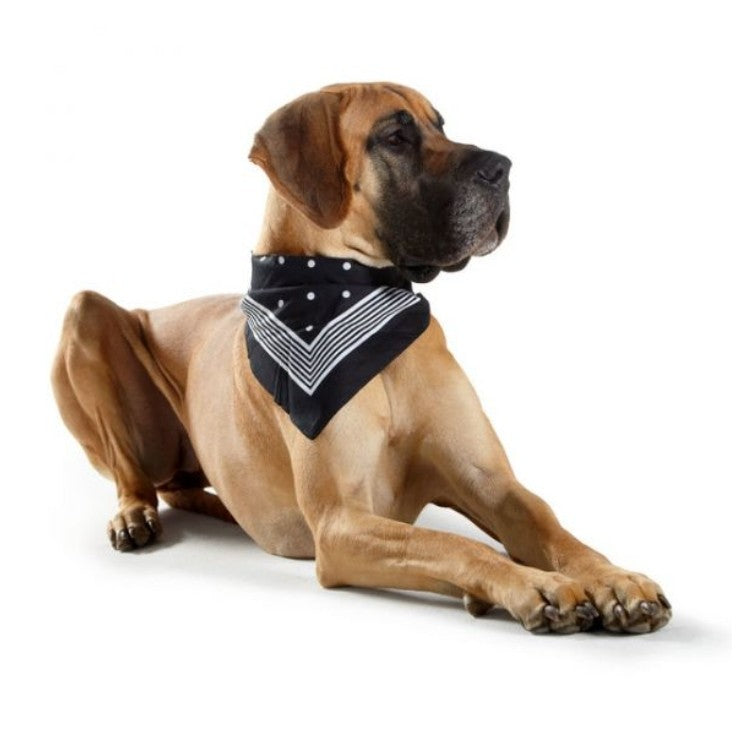 HUNTER Scarf for Collars with Loops