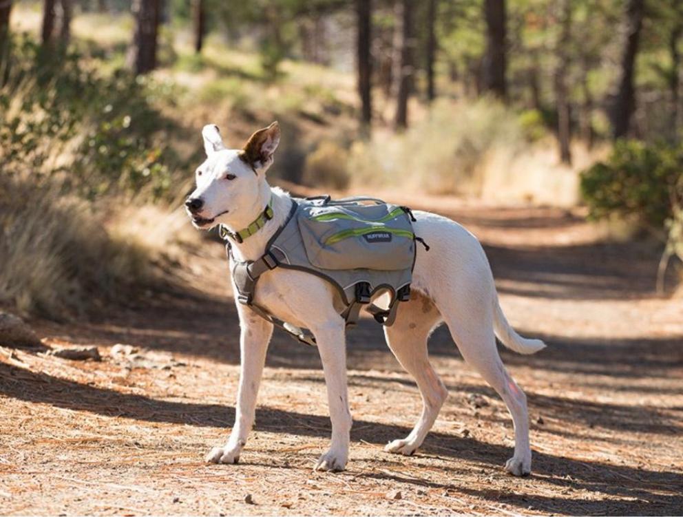 RUFFWEAR Singletrack Dog Hydration Pack