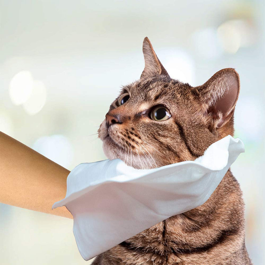 SIMPLE SOLUTION Pet Bath Hand Mitts (7 Handwipes)