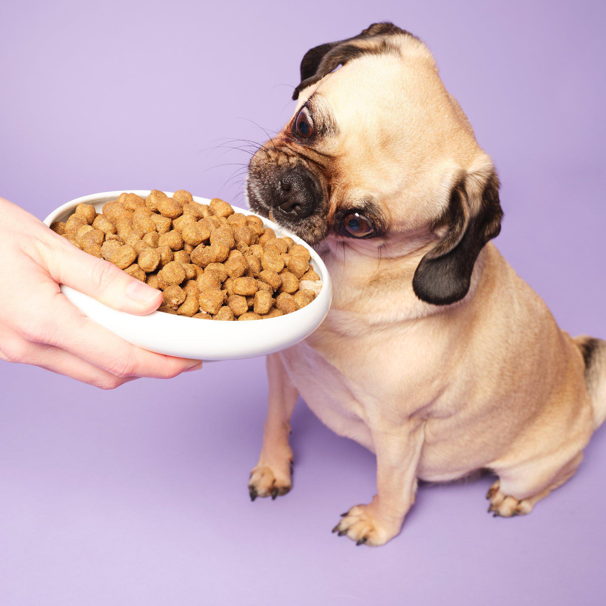 POOCH & MUTT Dog Dry Food Slim & Slender With Chicken
