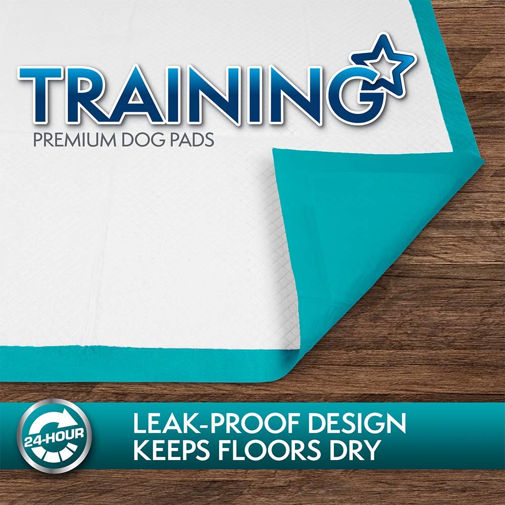 SIMPLE SOLUTION Premium Training Pads (100 Pads)
