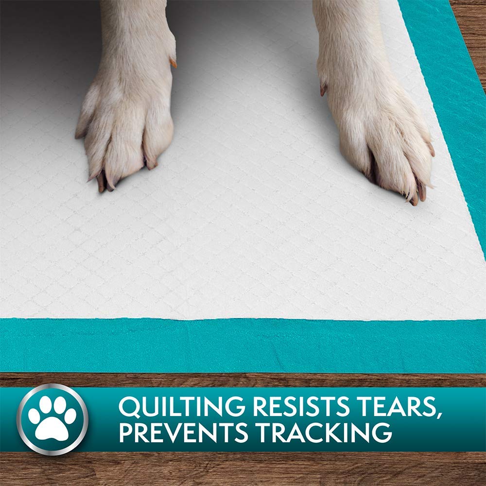 SIMPLE SOLUTION Premium Training Pads (100 Pads)