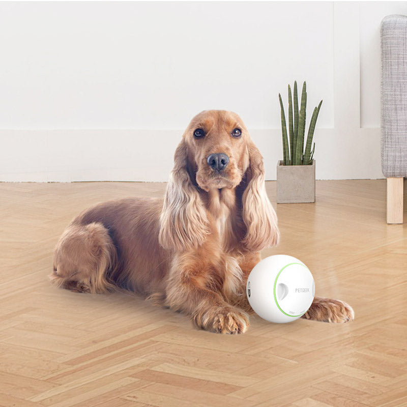 PETGEEK Foodie Orb - Automatic Rolling Treat Ball