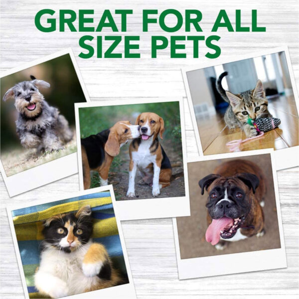 VET'S BEST Advanced Dental Powder for Dogs (90gr)