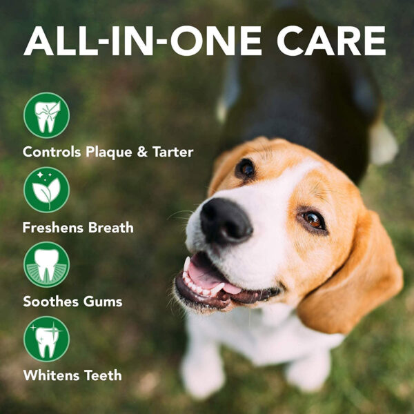 VET'S BEST Advanced Dental Powder for Dogs (90gr)